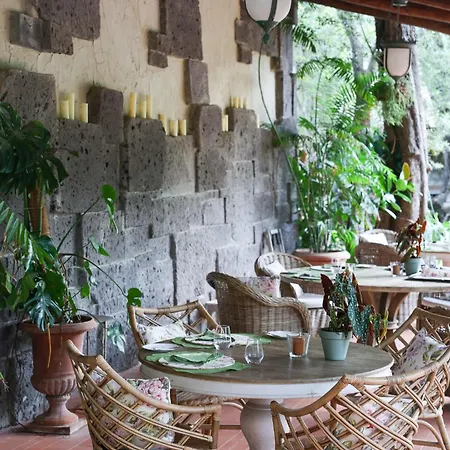 招待所 Domus Florum