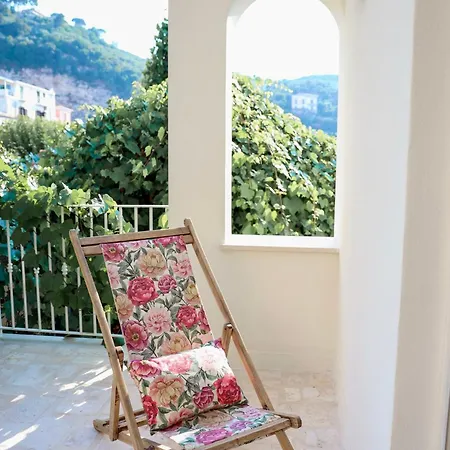 Domus Florum בית הארחה