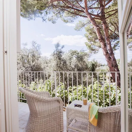 בית הארחה Domus Florum