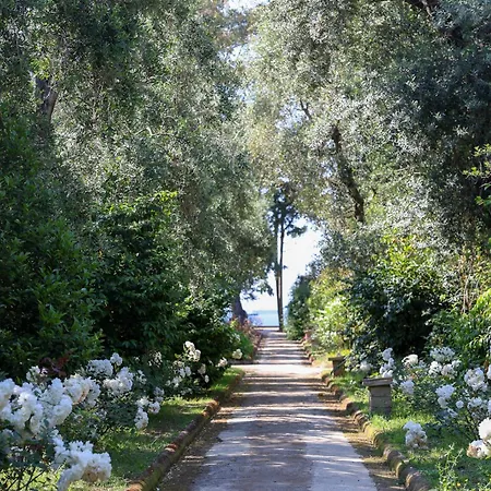 Domus Florum بيت ضيافة