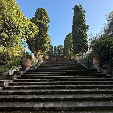 Domus Florum Península Sorrentina