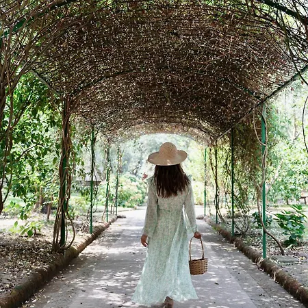 Domus Florum
