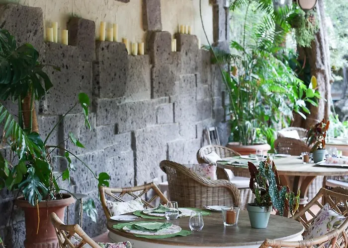 Guest house Domus Florum