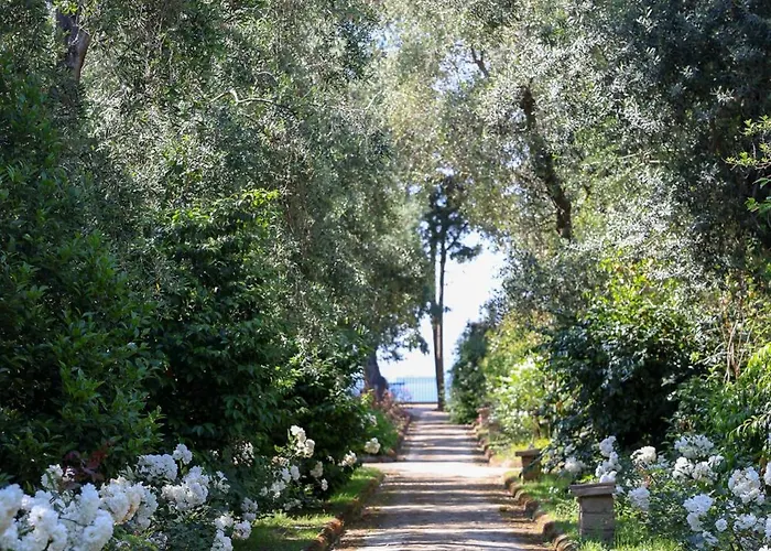 Domus Florum Guest house