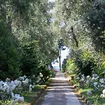 Domus Florum Гостевой дом